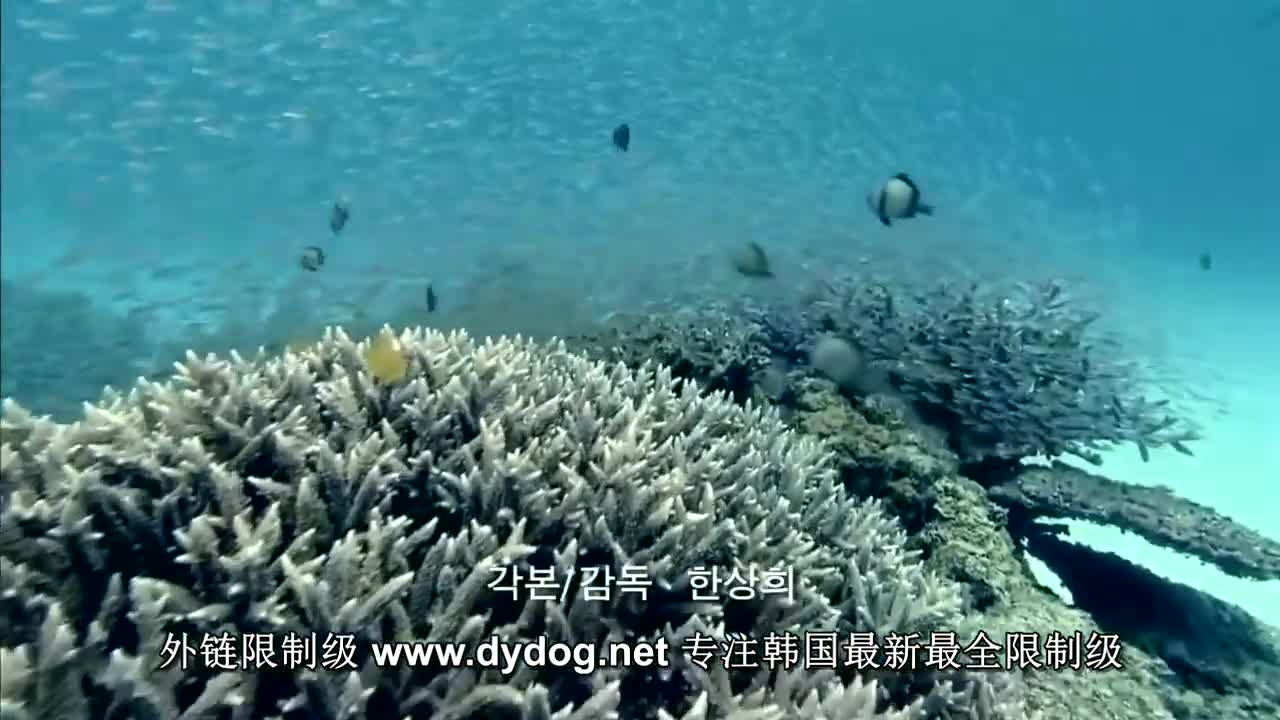 私人岛屿