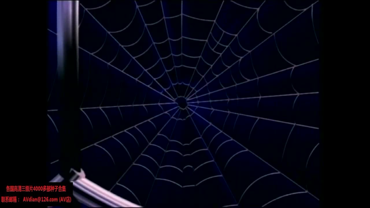 蜘蛛侠成人版