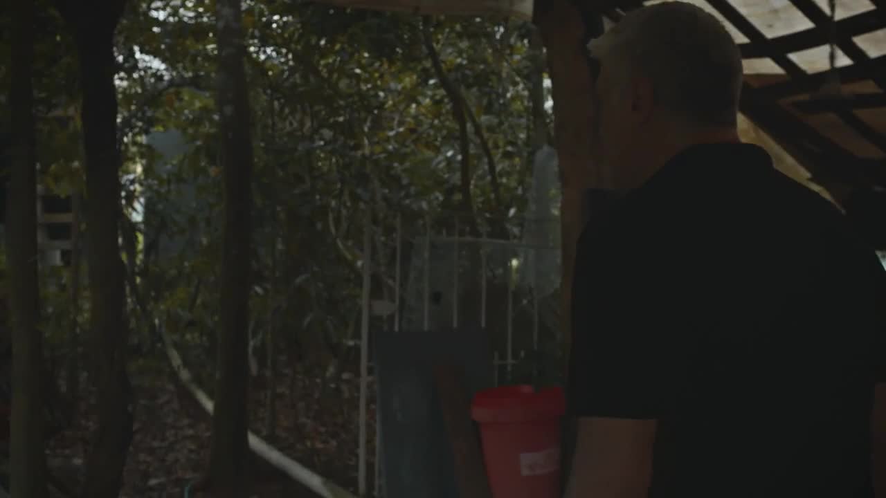 todas as flores capitulo 81.720p