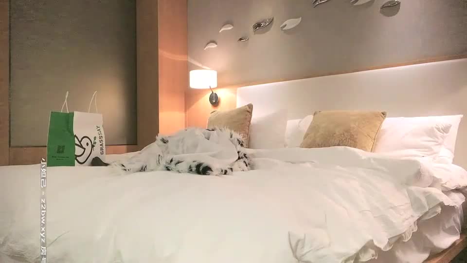 探花朗李寻欢 啪啪 20201119标签： #探花